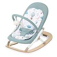 Evolur SleekSway Portable Baby Rocker