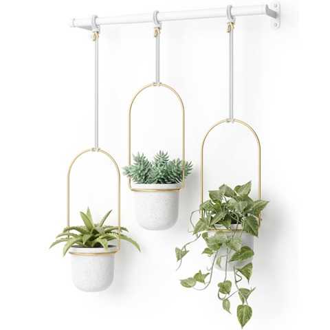 Amazon - Umbra Triflora Hanging Planter for Window, Indoor Herb Garden, Set of 3, White/Brass